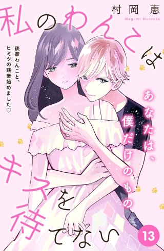 私のわんこはキスを待てない［comic tint］分冊版(13)