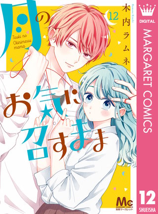 月のお気に召すまま(12)