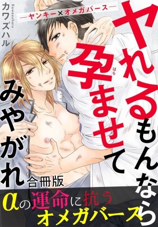 ヤれるもんなら孕ませてみやがれ －ヤンキー×オメガバース－【合冊版】(1)