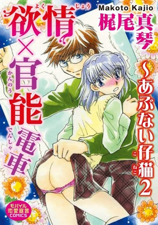 欲情×官能電車～あぶない仔猫２