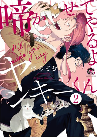 啼かせてやるよヤンキーくん（分冊版）(2)