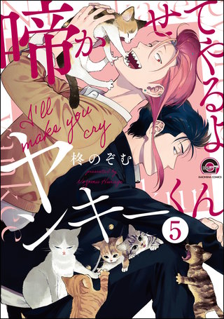 啼かせてやるよヤンキーくん（分冊版）(5)