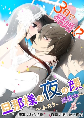 3日で結婚!?旦那様の夜の顔～ふたり、溺愛中～(3)