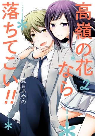 高嶺の花なら落ちてこい!! 2巻