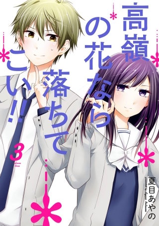 高嶺の花なら落ちてこい!! 3巻