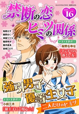 禁断の恋 ヒミツの関係 vol.16