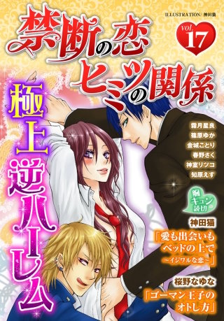 禁断の恋 ヒミツの関係 vol.17