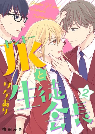 ヤンキーJKとワケあり生徒会長　単行本版(2)