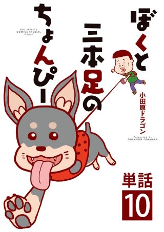 ぼくと三本足のちょんぴー【単話】(10)