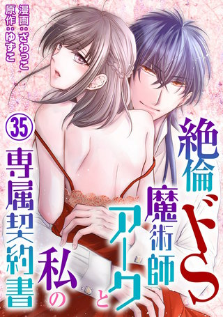 絶倫ドS魔術師アークと私の専属契約書35
