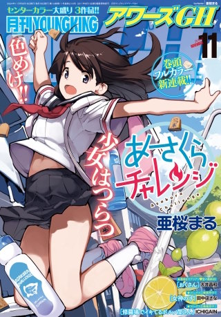 月刊ヤングキングアワーズGH 2024年11月号