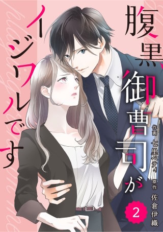 comic Berry's腹黒御曹司がイジワルです2巻