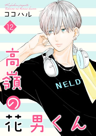 高嶺の花男くん【合冊版】(12)