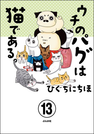 ウチのパグは猫である。（分冊版）(13)