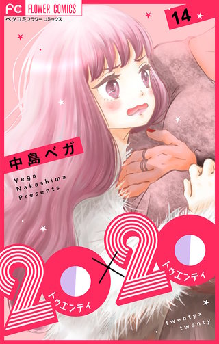 20×20【マイクロ】(14)