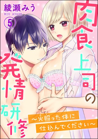 肉食上司の発情研修 ~火照った体に仕込んでください~(分冊版)(5)