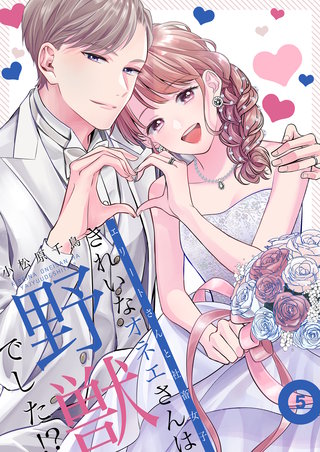 きれいなオネエさんは野獣でした！？～エリートさんと社畜女子【電子特装版】5巻