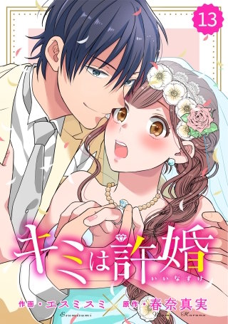 comic Berry's キミは許婚13巻