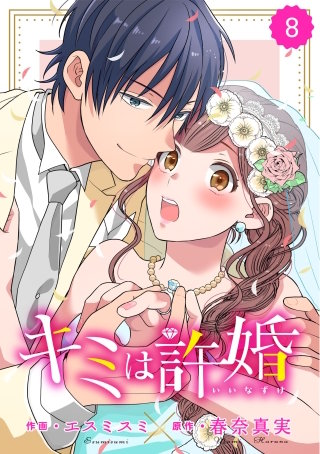 comic Berry's キミは許婚8巻