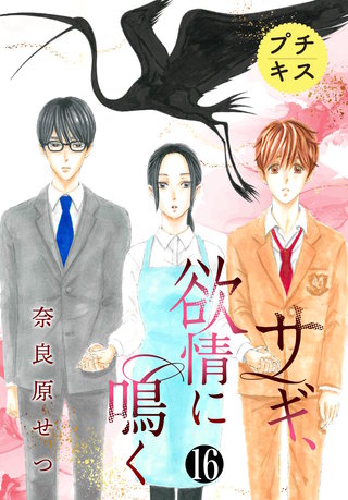 サギ、欲情に鳴く プチキス(16)