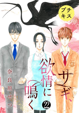 サギ、欲情に鳴く プチキス(22)