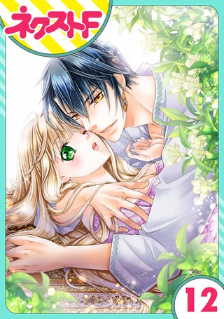 【単話売】盗賊王のおしのび花嫁 12話