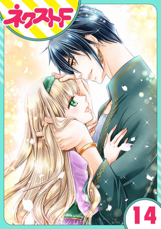 【単話売】盗賊王のおしのび花嫁 14話