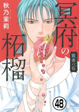 賢者の石（分冊版）(48)