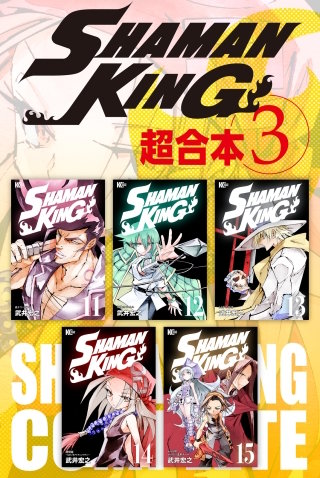 SHAMAN KING 超合本版(3)