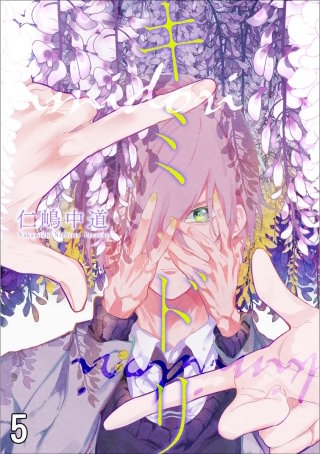 キミドリ（分冊版）(5)