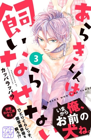 あらきくんは飼いならせない プチデザ(3)