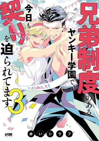 兄弟制度のあるヤンキー学園で、今日も契りを迫られてます【電子単行本】(3)