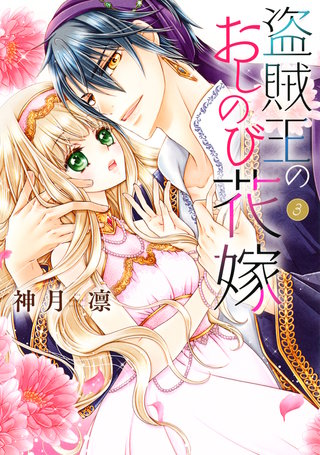 盗賊王のおしのび花嫁 3
