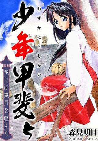 少年甲斐～想いは歳月を越えて～　5巻