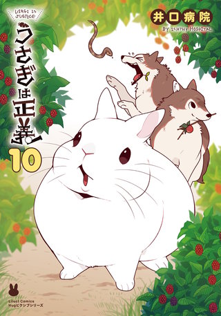 うさぎは正義10