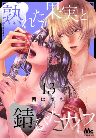 熟れた果実と錆びたナイフ(13)