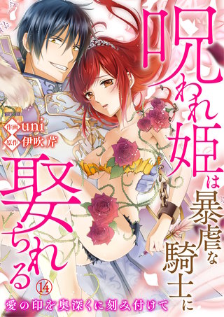 呪われ姫は暴虐な騎士に娶られる～愛の印を奥深くに刻み付けて～(14)