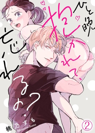 ひと晩抱かれて、忘れるの？(2)