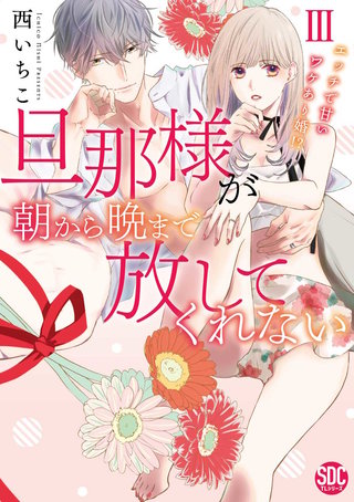 旦那様が朝から晩まで放してくれない～エッチで甘いワケあり婚!?【コミックス版】【電子版限定特典付き】(3)