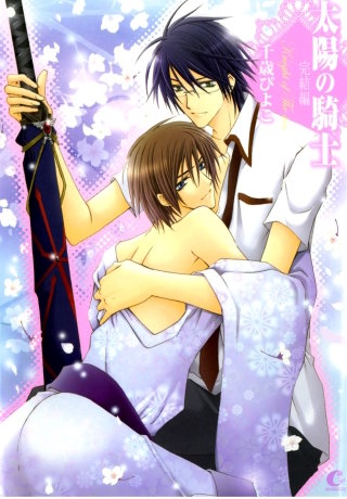 太陽の騎士 完結編