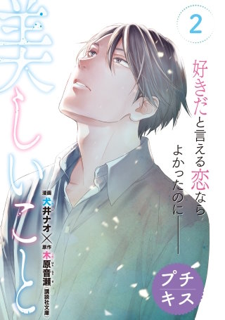 美しいこと プチキス(2)