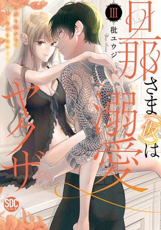 旦那さま(仮)は溺愛ヤクザ 何度も突かれて声、止まらない…!【コミックス版】【コミックス版限定特典付き】(3)