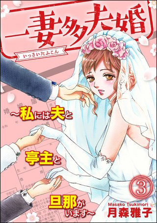 一妻多夫婚 ～私には夫と亭主と旦那がいます～(3)