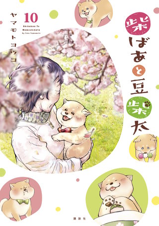 柴ばあと豆柴太 分冊版(10)