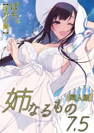 姉なるもの【同人版】(7.5)