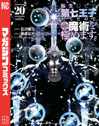 転生したら第七王子だったので、気ままに魔術を極めます(20)