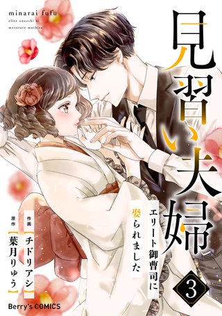 見習い夫婦～エリート御曹司に娶られました～(3)
