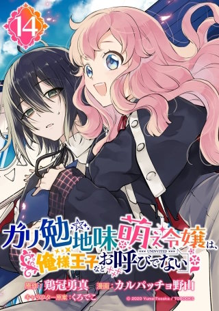 ガリ勉地味萌え令嬢は、俺様王子などお呼びでない【分冊版】 14