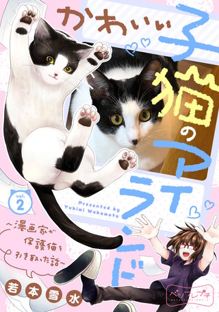 かわいい子猫のアイランド ～漫画家が保護猫を引き取った話～ ベツフレプチ(2)
