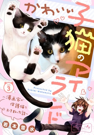 かわいい子猫のアイランド ～漫画家が保護猫を引き取った話～ ベツフレプチ(3)